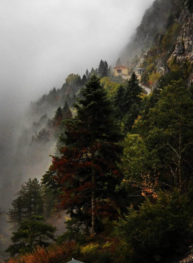 Hotel Χenonas Ziakos Amárantos Exteriér fotografie